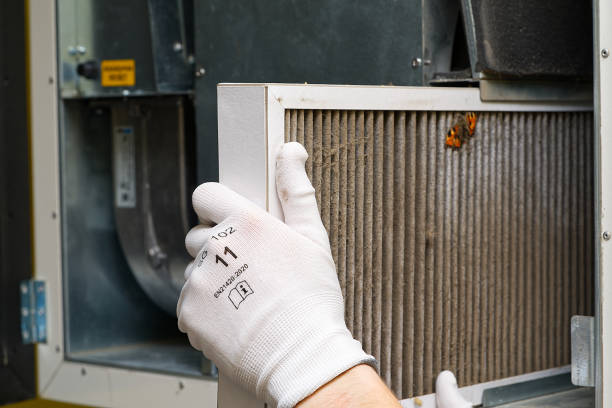 Best Residential Air Duct Cleaning  in Douglas, WY
