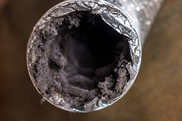 Best Local Air Duct Cleaning Services  in Douglas, WY